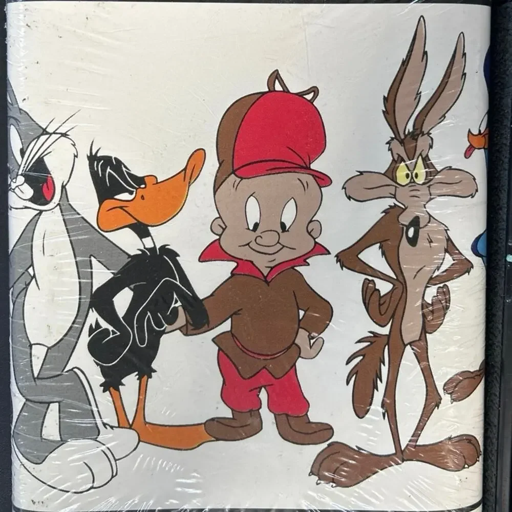 Unopened 1995 Looney Tunes Self Adhesive Border